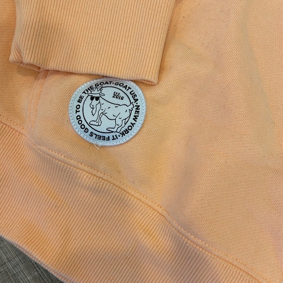 GOAT HOODIE Orange (Pea) Graphic Hoodie - Picture 5 of 5